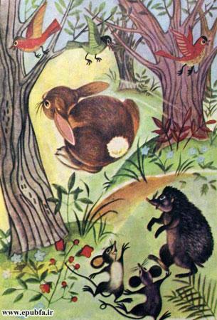 حیوانات بازیگوش موقع مناسبی برای تفریح پیدا کردهاند